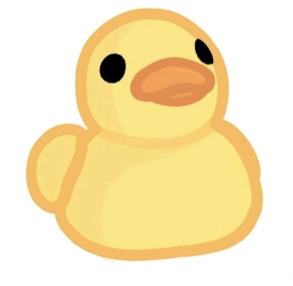 A duck. His name is Bob.